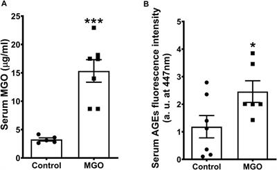 Enhanced RAGE Expression and Excess Reactive-Oxygen Species Production Mediates Rho Kinase-Dependent Detrusor Overactivity After Methylglyoxal Exposure